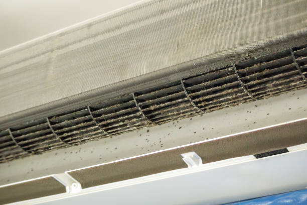 Best Best Air Duct Cleaning Company  in Rosedale, MD